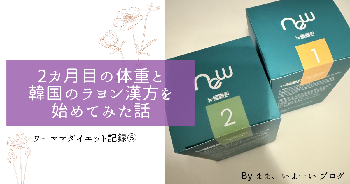 ラヨン漢方(ぺぺファン20包＋デトックスファイン28包) 【公式通販】